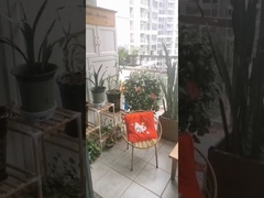 สแตนเลสสตีลเกรด 316 พร้อมคลิปข้ามความปลอดภัยสำหรับระเบียงลูกกรงที่มองไม่เห็น