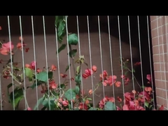 ระเบียงที่มองไม่เห็นตะแกรงป้องกันเด็ก 316 สแตนเลส