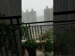 บ้าน ไม่มองเห็น กริลความปลอดภัยคงที่ สายกันสนิม สําหรับความปลอดภัยของเด็กและสัตว์เลี้ยง