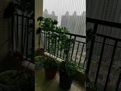 รางระเบียงที่มองเห็นได้อย่างไม่ขัดขวาง พร้อมความจุ 100 กิโลกรัม