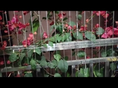 โมเดิร์น โซเซี่ยน ดีไซน์ บัลคอน กริลล์ที่มองไม่เห็น พร้อมบริการเจาะและความจุ 100 กิโลกรัม