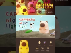 โคมไฟกลางคืนน่ารัก