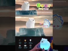 โคมไฟกลางคืนน่ารัก