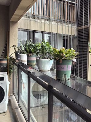 Customizable Balcony Safety Grill Made from Steel Wire Structure 316 Grade and Wire Construction 316 Wire 3 7 with Teflon Coating 2.0mm