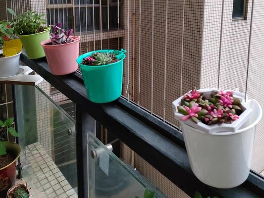 Packing One Bag 36pcs Invisible Grille Flower  Pot  Accessories Plastic Small Size Parts
